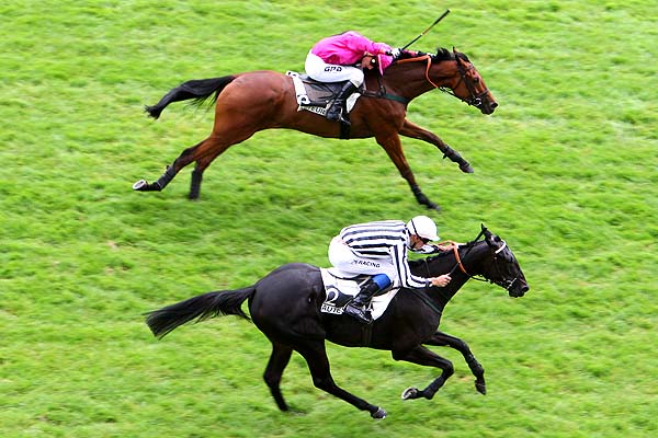 Arrivée quinté pmu PRIX FINOT (POULICHES) (GRB) à AUTEUIL
