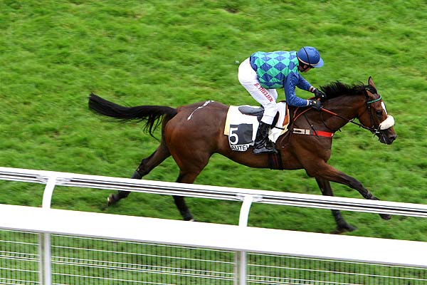 Arrivée quinté pmu PRIX ROYAL JUNIOR à AUTEUIL