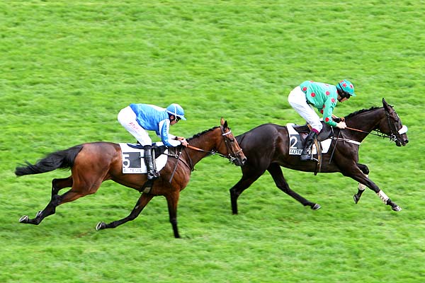 Arrivée quinté pmu PRIX MELI MELO à AUTEUIL