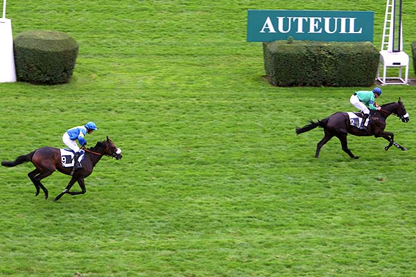 Arrivée quinté pmu PRIX SAPIN à AUTEUIL