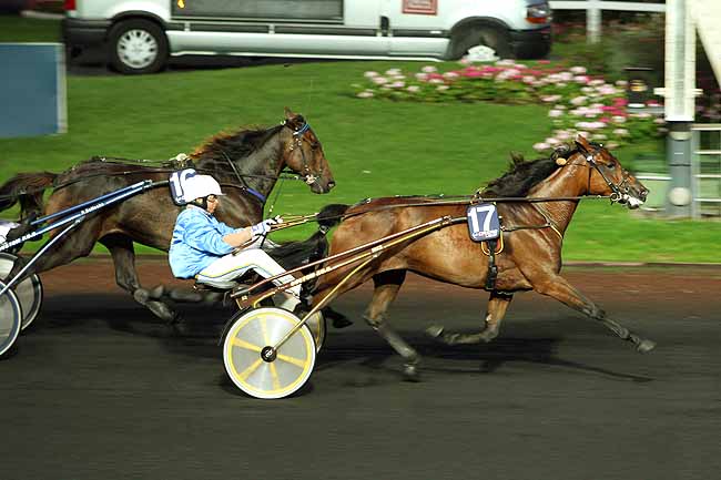 Arrivée quinté pmu PRIX ADELINDA à PARIS-VINCENNES