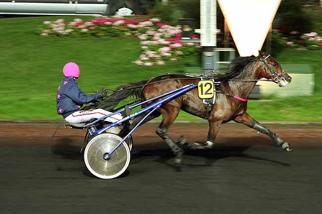 Arrivée quinté pmu PRIX ERATO à PARIS-VINCENNES