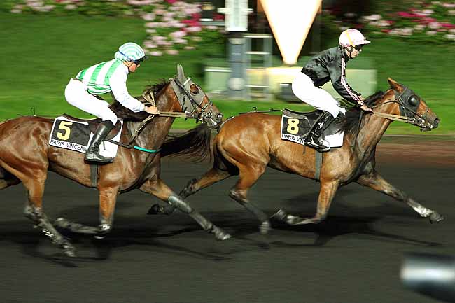 Arrivée quinté pmu PRIX MUSCA à PARIS-VINCENNES