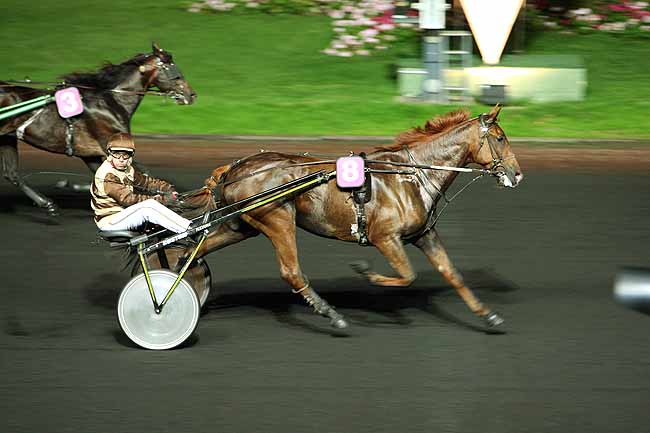 Arrivée quinté pmu PRIX JULIA à PARIS-VINCENNES