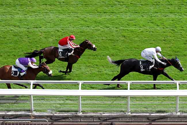 Arrivée quinté pmu PRIX ALAIN ET GILLES DE GOULAINE à AUTEUIL