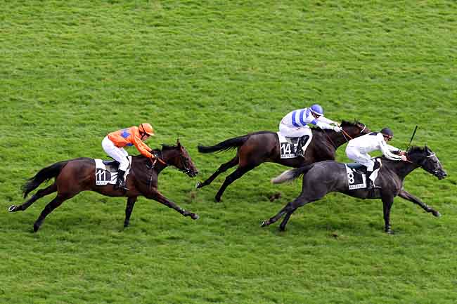 Arrivée quinté pmu PRIX FINOT (POULAINS) GRB à AUTEUIL