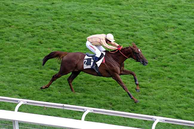 Arrivée quinté pmu PRIX PIERRE CYPRES à AUTEUIL