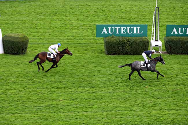 Arrivée quinté pmu PRIX RECRUIT II à AUTEUIL