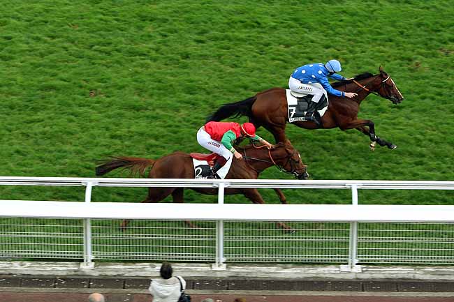 Arrivée quinté pmu PRIX CHAKHANSOOR à AUTEUIL