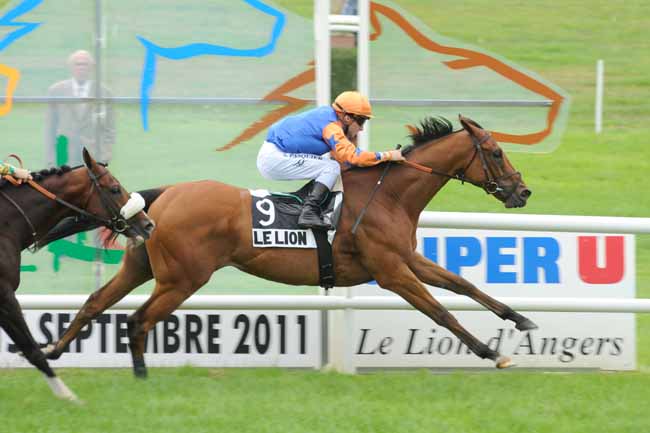 Arrivée quinté pmu GRAND HANDICAP DU LION D'ANGERS à LE LION D'ANGERS