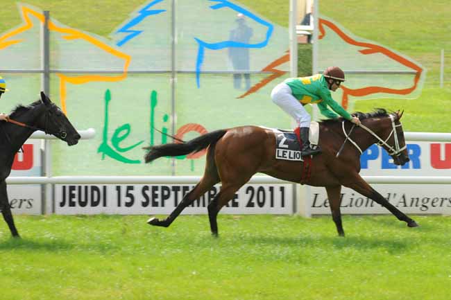 Arrivée quinté pmu PRIX DE CHATEAUNEUF-SUR-SARTHE à LE LION D'ANGERS
