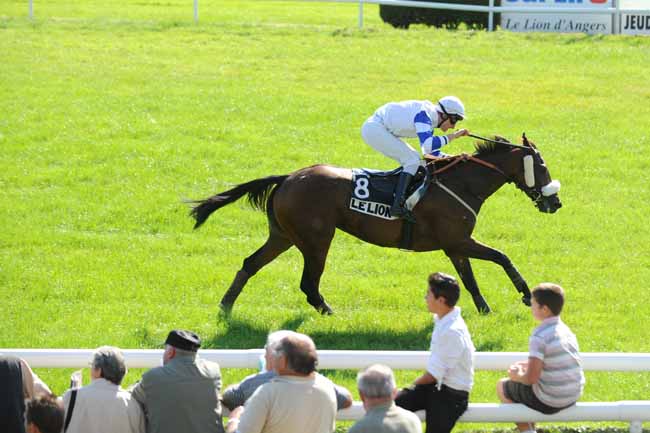 Arrivée quinté pmu PRIX OLIVIER D'ANDIGNE à LE LION D'ANGERS