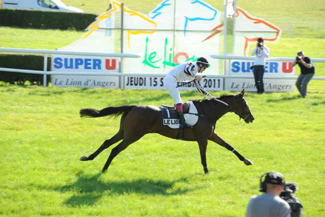 Arrivée quinté pmu PRIX DE CHAMBELLAY à LE LION D'ANGERS