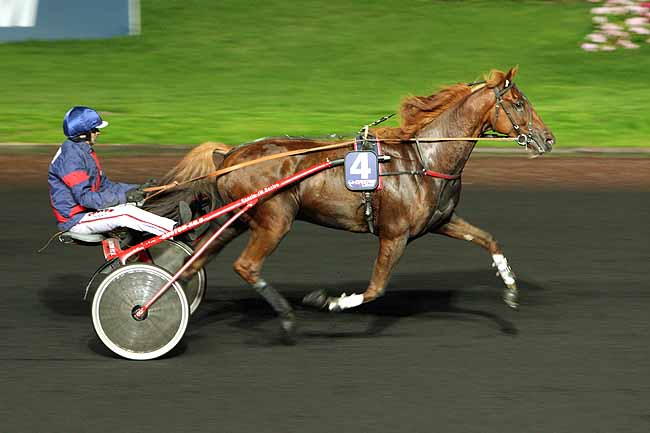 Arrivée quinté pmu PRIX OPHELIA à PARIS-VINCENNES