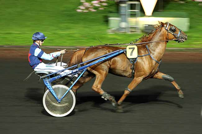 Arrivée quinté pmu PRIX ALHENA à PARIS-VINCENNES