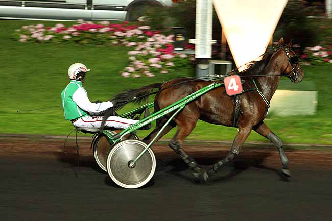 Arrivée quinté pmu PRIX ERIDANUS à PARIS-VINCENNES