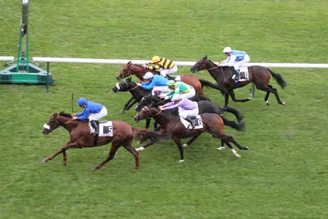 Arrivée quinté pmu PRIX DU PRINCE D'ORANGE à LONGCHAMP