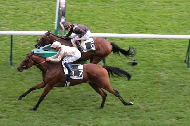 Arrivée quinté pmu PRIX DE LA TOUR SAINT-JACQUES à LONGCHAMP