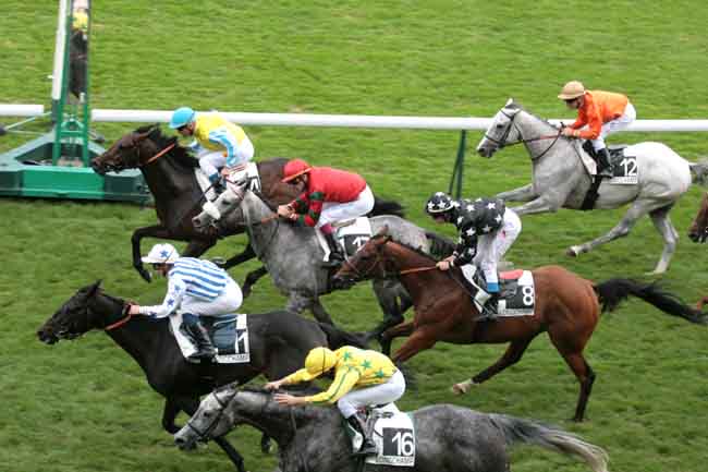 Arrivée quinté pmu PRIX DES ETANGS à LONGCHAMP