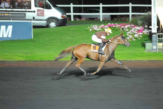 Arrivée quinté pmu PRIX ANDROMEDA à PARIS-VINCENNES