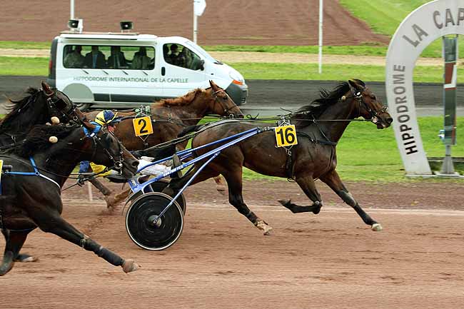 Arrivée quinté pmu PRIX DU CREDIT AGRICOLE DU NORD EST à LA CAPELLE