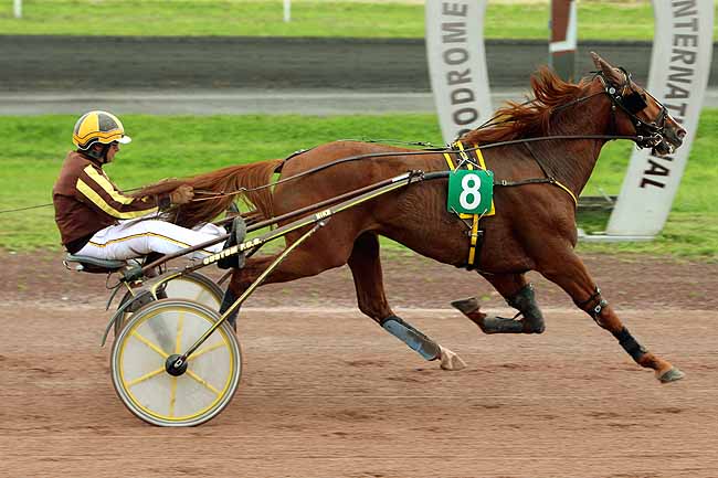 Arrivée quinté pmu PRIX UPECT - EQWOS.FR à LA CAPELLE