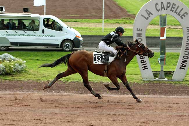 Arrivée quinté pmu PRIX DUVAL LEROY à LA CAPELLE