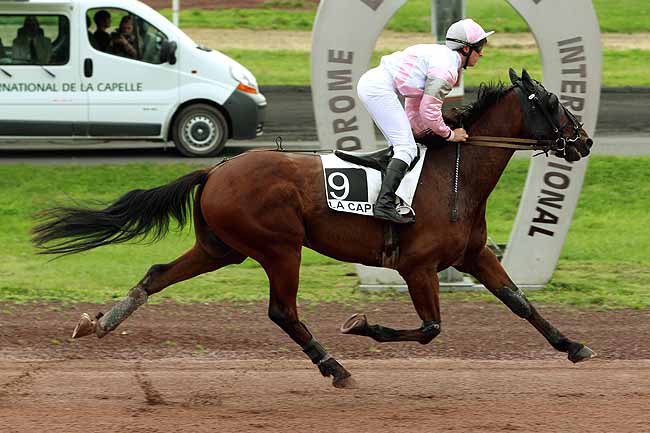 Arrivée quinté pmu PRIX FERNAND FLORIBERT DUBOIS à LA CAPELLE