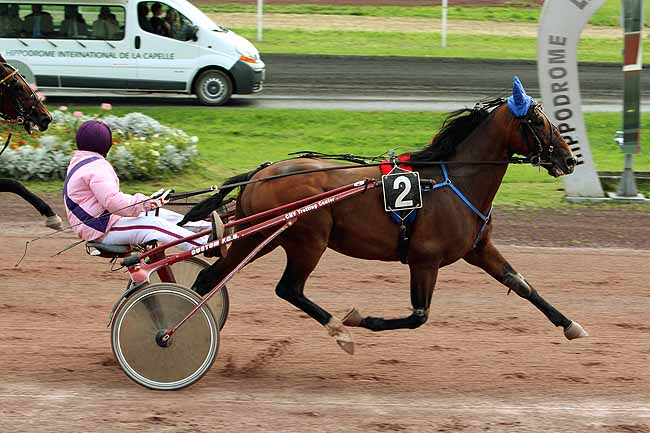 Arrivée quinté pmu PRIX JOURNEE INTERNATIONALE DE LA PAIX à LA CAPELLE