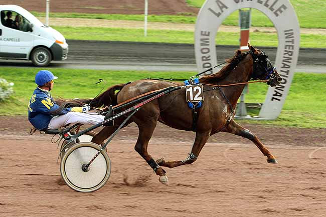 Arrivée quinté pmu PRIX DE L'U.N.A.T. à LA CAPELLE