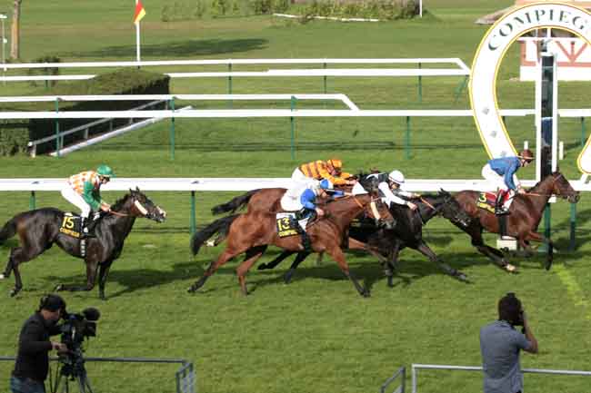 Arrivée quinté pmu PRIX DE MAREST SUR MATZ à COMPIEGNE