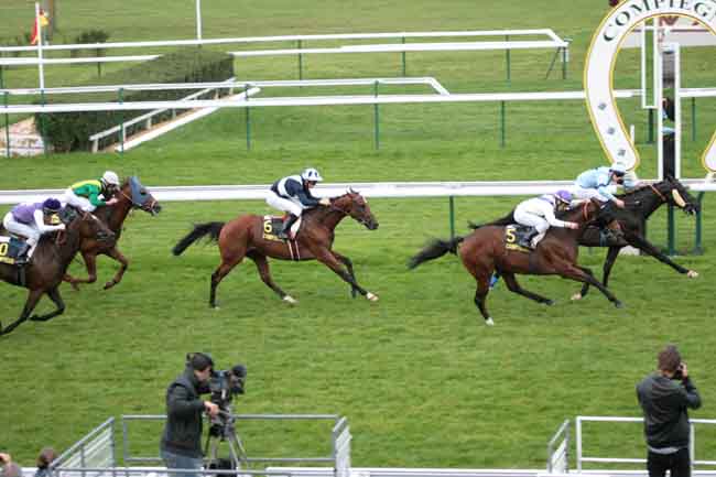 Arrivée quinté pmu PRIX DE SAINT-CREPIN à COMPIEGNE
