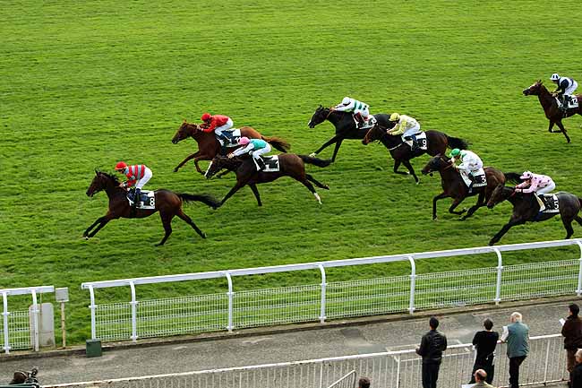Arrivée quinté pmu PRIX JOYEUX DRILLE à MAISONS-LAFFITTE