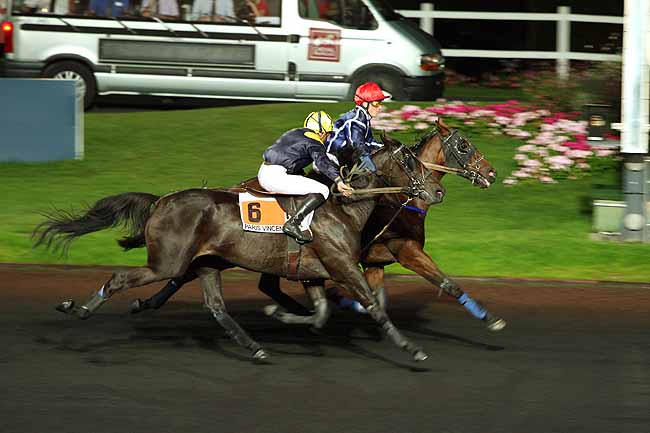 Arrivée quinté pmu PRIX ANTIOPE à PARIS-VINCENNES