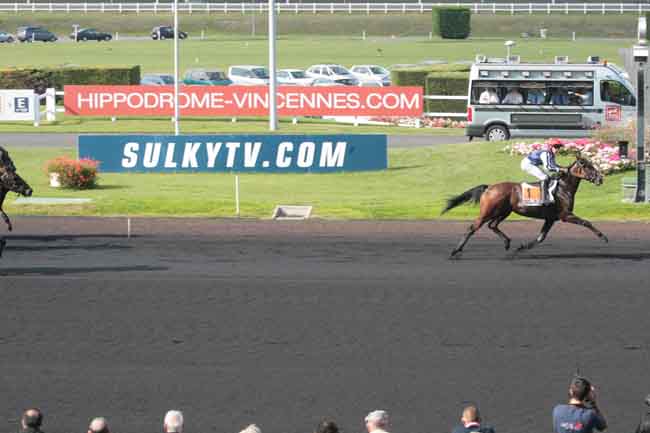 Arrivée quinté pmu PRIX ALFRED LEFEVRE à PARIS-VINCENNES