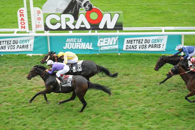 Arrivée quinté pmu PRIX LA STAR (PRIX DES HALLES DE CRAON) à CRAON