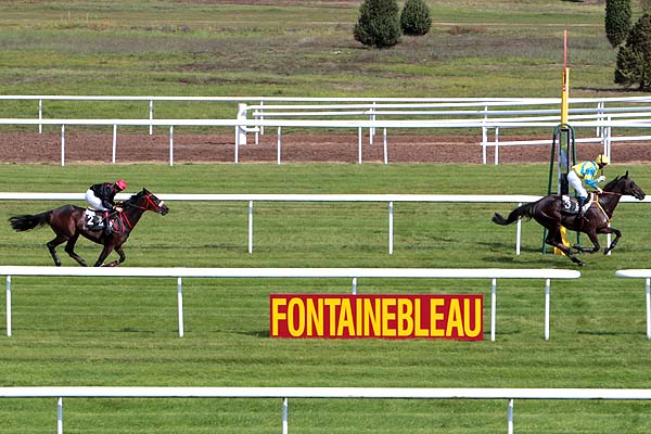 Arrivée quinté pmu PRIX WWW.COURSESCHEVAUX.FR à FONTAINEBLEAU