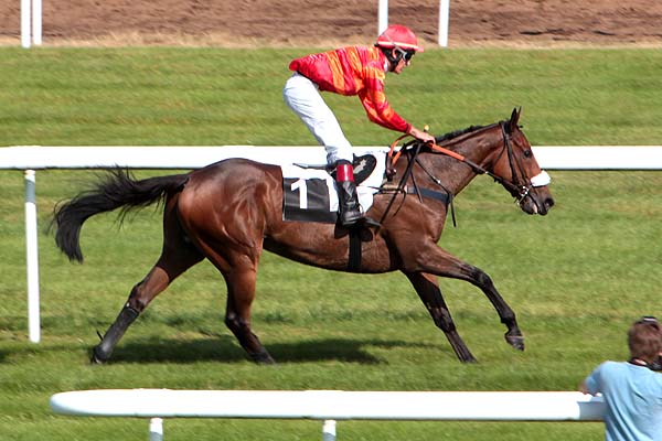 Arrivée quinté pmu PRIX DE SAINT FARGEAU-PONTHIERRY à FONTAINEBLEAU