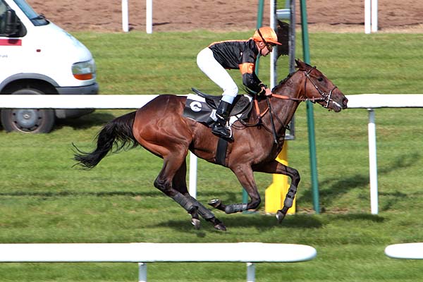 Arrivée quinté pmu PRIX DE LA MARE A PIAT à FONTAINEBLEAU