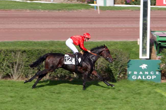 Arrivée quinté pmu PRIX D'ARITXAGUE à ENGHIEN