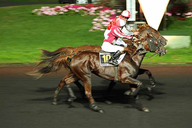 Arrivée quinté pmu PRIX ELSA à PARIS-VINCENNES
