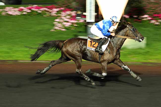 Arrivée quinté pmu PRIX ARTEMIS à PARIS-VINCENNES