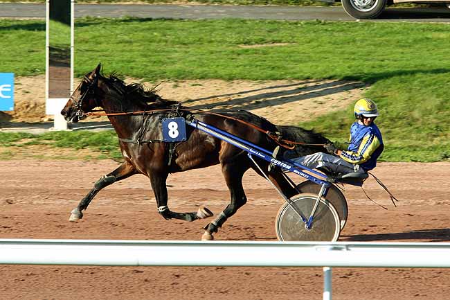 Arrivée quinté pmu PRIX DU PAYS D'AUGE - EXPANSION à LISIEUX