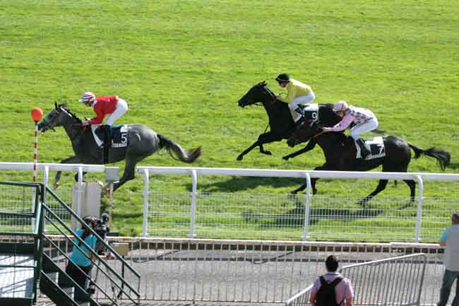 Arrivée quinté pmu PRIX DE PORT MARLY à MAISONS-LAFFITTE