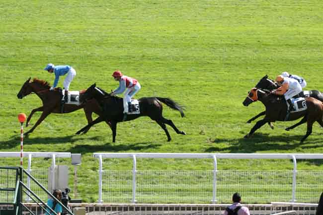 Arrivée quinté pmu PRIX MY LOVE à MAISONS-LAFFITTE