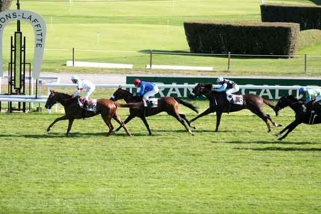Arrivée quinté pmu PRIX DE VAUX SUR SEINE à MAISONS-LAFFITTE