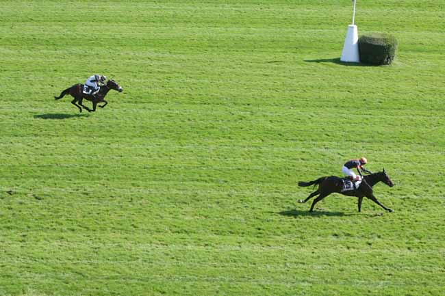 Arrivée quinté pmu PRIX MAGICIENNE à AUTEUIL