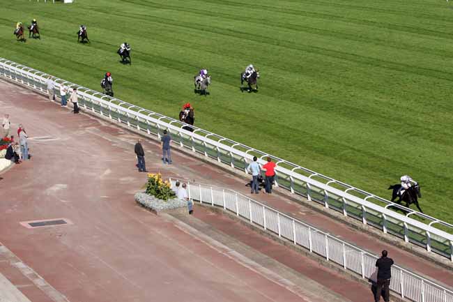 Arrivée quinté pmu PRIX DE NANTES à AUTEUIL