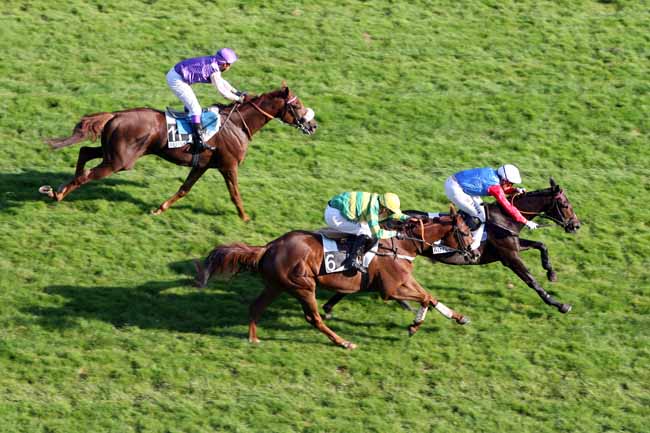 Arrivée quinté pmu PRIX PRIDE OF KILDARE (GR B) à AUTEUIL