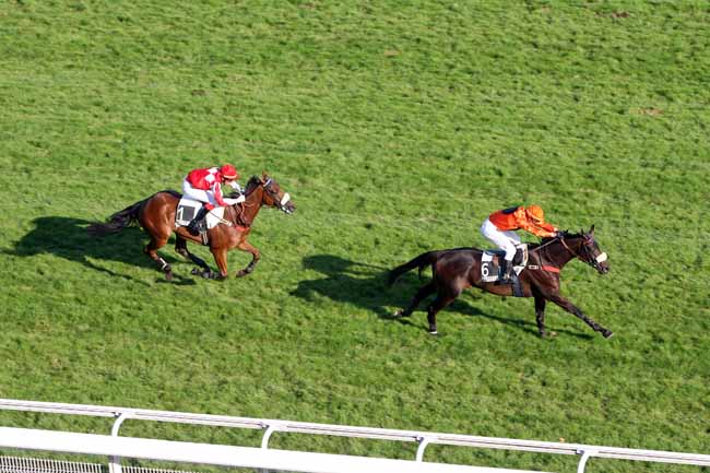 Arrivée quinté pmu PRIX PATRICK LEC à AUTEUIL